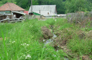 case valea mica in pericol