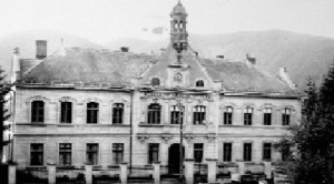 liceu zlatna