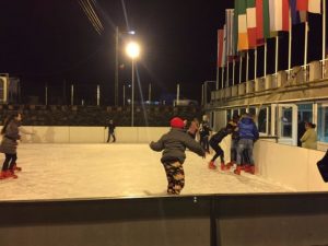 patinoar-zlatna-2016